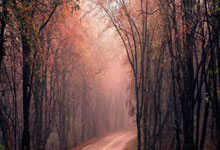 球员们不停进步，所以比赛总有新意和看点