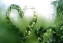 大華法的特蘭：錦標力拼全力爭取