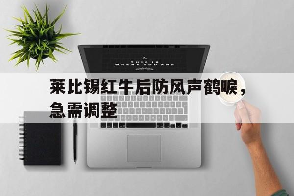 开云体育app-莱比锡红牛后防风声鹤唳，急需调整的简单介绍