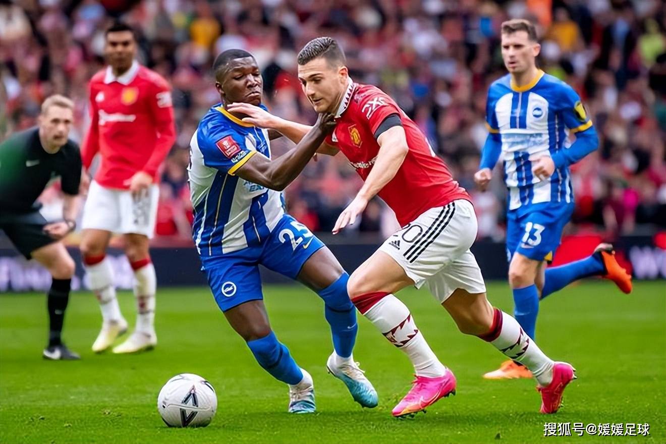 开云体育课程-关于塞尔维亚-击败波兰，实力渐显强劲的信息