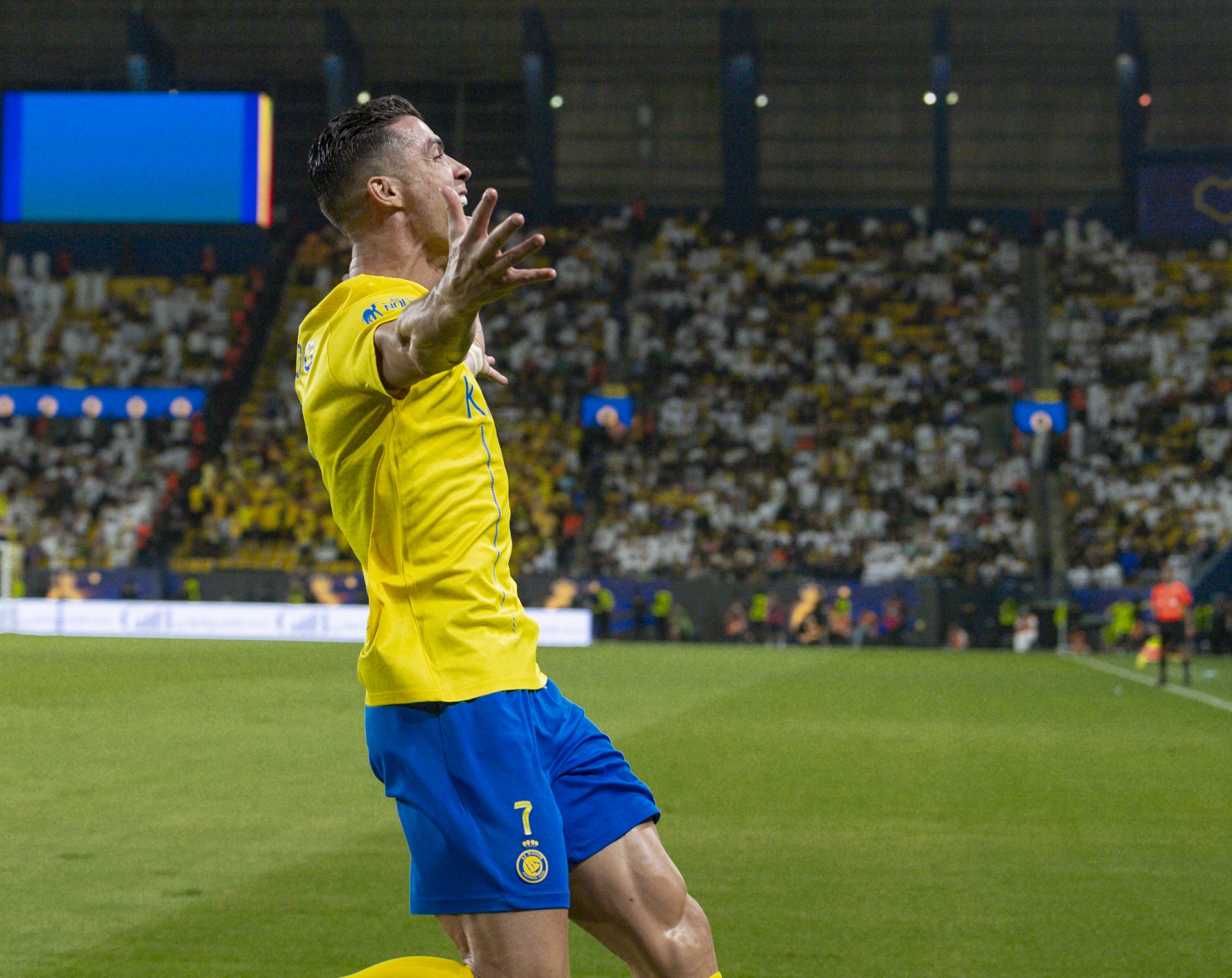 关于阿尔及利亚队夺得关键胜利，冲刺欧洲杯赛场的信息